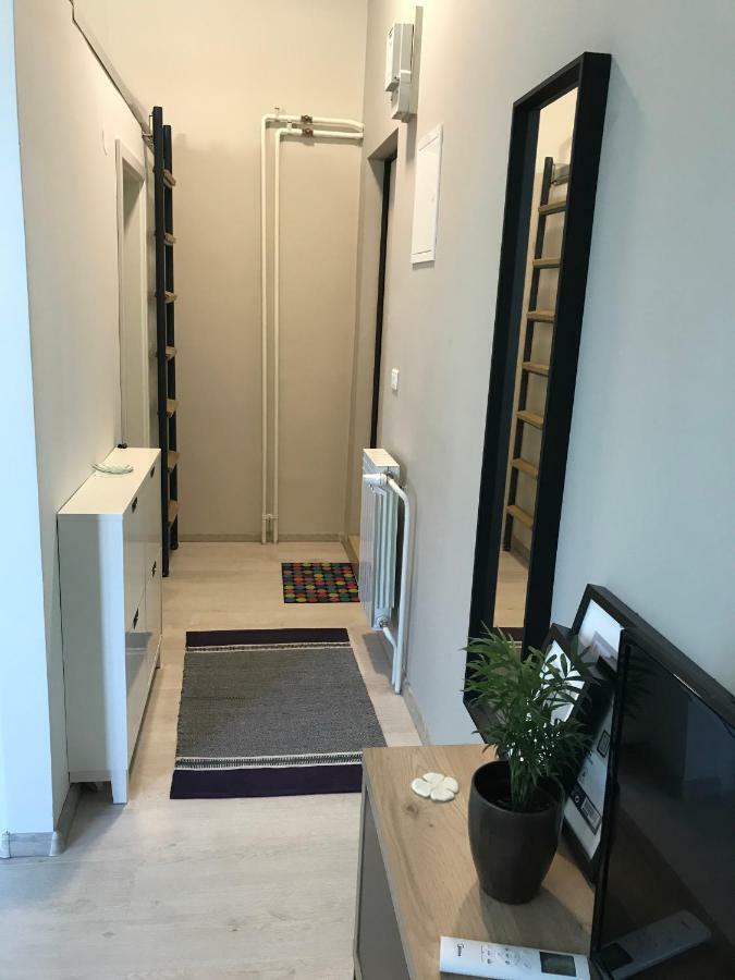 Studio Apartman Park Galerija Daire Ösek Dış mekan fotoğraf