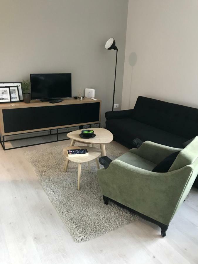 Studio Apartman Park Galerija Daire Ösek Dış mekan fotoğraf